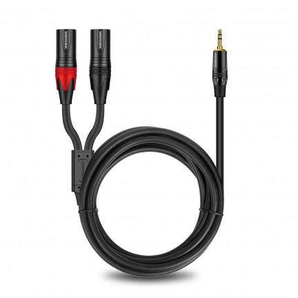 Aux 3.5mm (1/8 Inch) Male to Dual XLR 3-Pin Dual XLR Male Stereo Audio Cable 1M