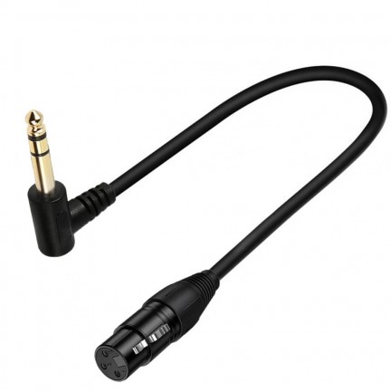 6.35mm (1/4 inch) TRS Male to 3-Pin XLR Female Balanced Interconnect Cable