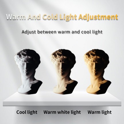 W70 Bi-Color 7W LED Fill Light Portable Adjustable Light