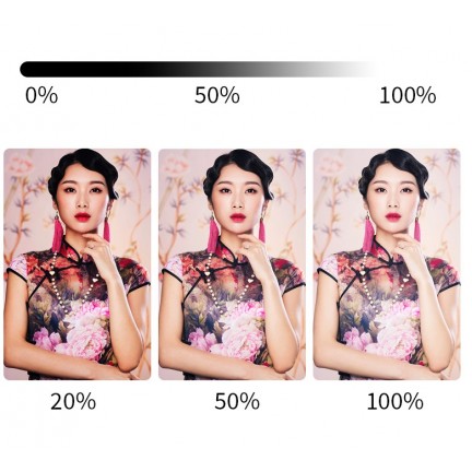 NiceFoto VB-2000A Bi-Color Folding Fabric LED Light