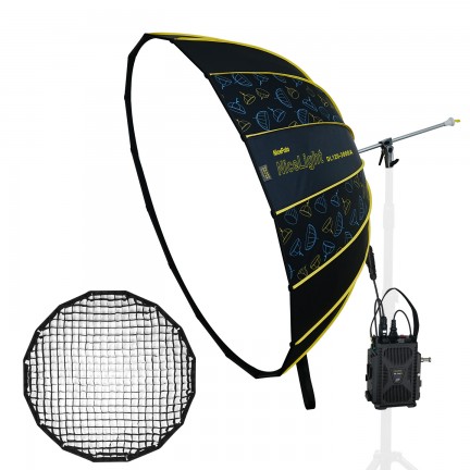 NiceFoto DL120-3000A 300W Bi-Color Umbrella Light(With Grid)