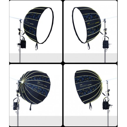 NiceFoto DL90-2000A 200W Bi-Color Umbrella Light(With Grid)