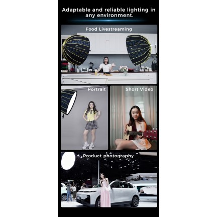 NiceFoto DL90-2000A 200W Bi-Color Umbrella Light(With Grid)