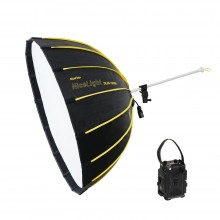 NiceFoto DL80-1000A 100W Bi-Color Umbrella Light