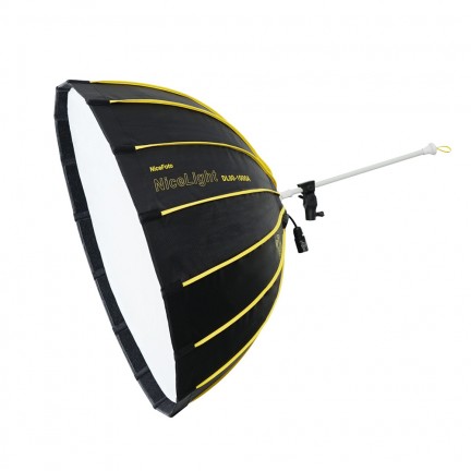 NiceFoto DL80-1000A 100W Bi-Color Umbrella Light