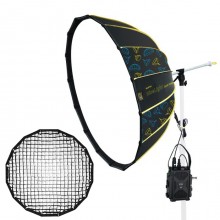 NiceFoto DL80-1000A 100W Bi-Color Umbrella Light(With Grid)