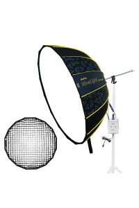 NiceFoto DF120-3000A 300W Bi-Color Umbrella Light(With Grid)