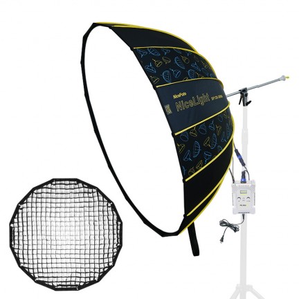 NiceFoto DF120-3000A 300W Bi-Color Umbrella Light(With Grid)
