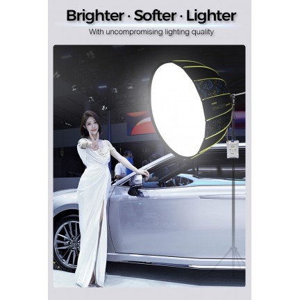NiceFoto DF120-3000A 300W Bi-Color Umbrella Light(With Grid)