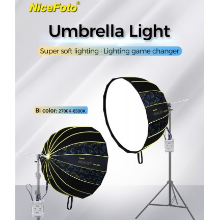 NiceFoto DF90-2000A 200W Bi-Color Umbrella Light(With Grid)