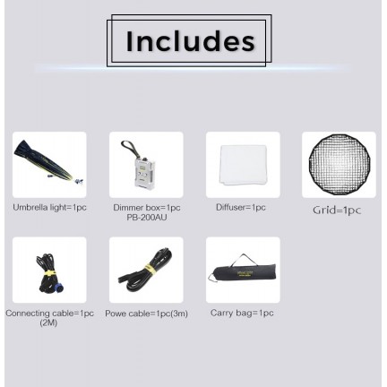 NiceFoto DF90-2000A 200W Bi-Color Umbrella Light(With Grid)