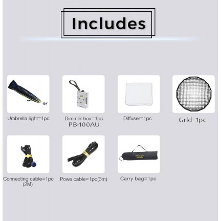 NiceFoto DF80-1000A 100W Bi-Color Umbrella Light(With Grid)