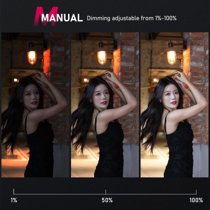 Ulanzi F32 L060GBB2 Compact Camera Flash Speedlite