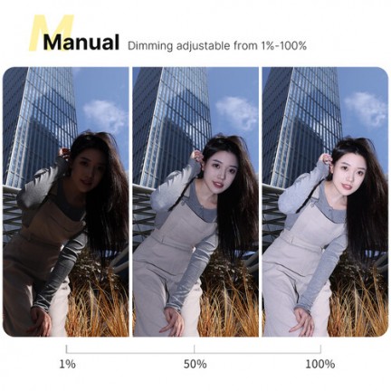 Ulanzi F12 Mini Camera Flash Speedlite