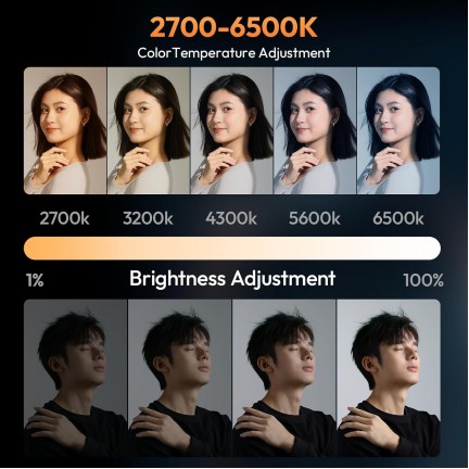 Ulanzi LM-P40Bi 40W Bi-Color Portable Video Light