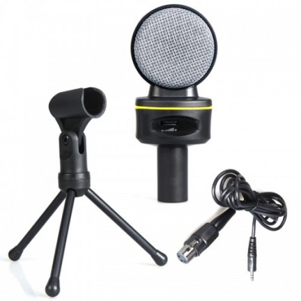 Mic for PC Laptop