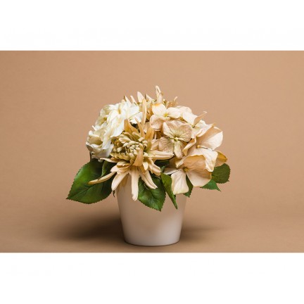 Emily Background Paper Rolls 2.72x10m #25 Beige