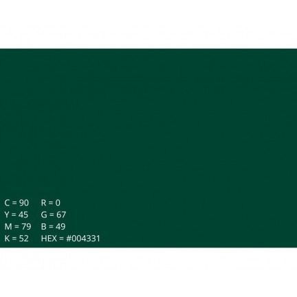 Emily Background Paper Rolls 2.72x10m #12 Deep Green