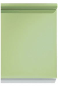 Emily Background Paper Rolls 2.72x10m #13 Tropical Green