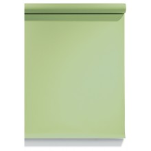 Emily Background Paper Rolls 2.72x10m #13 Tropical Green