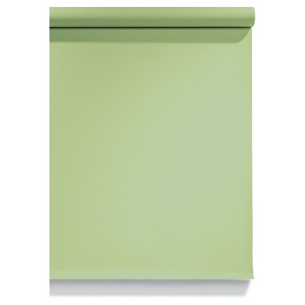 Emily Background Paper Rolls 2.72x10m #13 Tropical Green