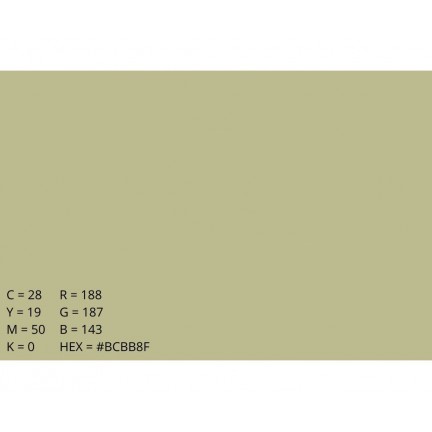 Emily Background Paper Rolls 2.72x10m #13 Tropical Green