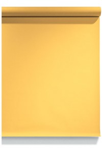 Background Paper Rolls 2.72x11m Buff