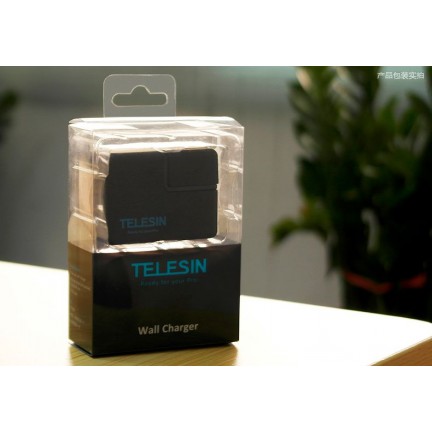 TELESIN for Gopro5 Wall Charger