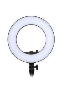 Godox LR180 Daylight Ringlight Without Stand (Black)