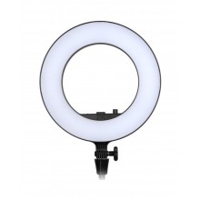 Godox LR180 Daylight Ringlight Without Stand (Black)