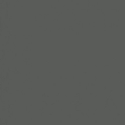 background Paper 2 x 11m Gray