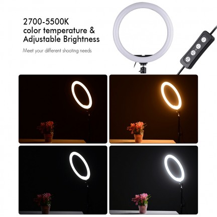 Ring Fill Light CXB-260 26CM with Tripod Stand