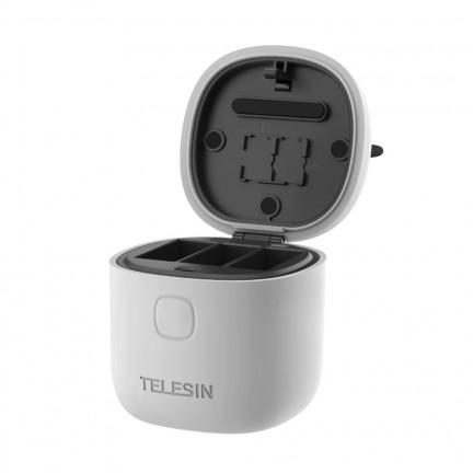 TELESIN Allin Charger/Storage Box with Two Batteries for GoPro HERO 12/11/10/9