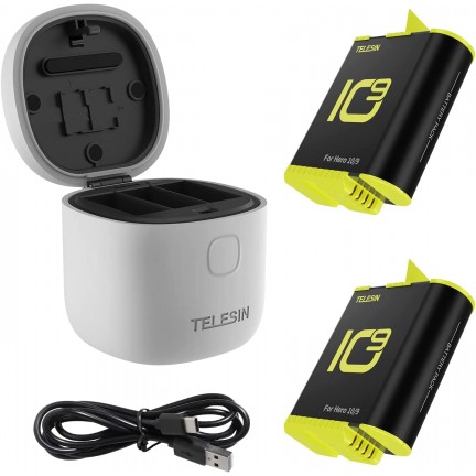 TELESIN Allin Charger/Storage Box with Two Batteries for GoPro HERO 12/11/10/9