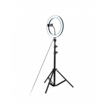 RING SUPPLEMENTARY LAMP 