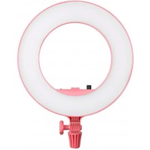 Godox LR180 Daylight Ringlight (Pink)