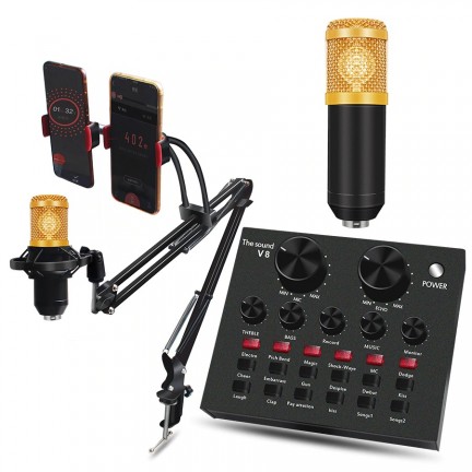 Professional BM 800 Studio Condenser Microphone Kit