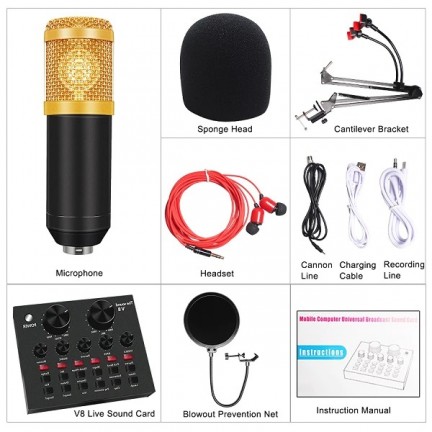 Professional BM 800 Studio Condenser Microphone Kit