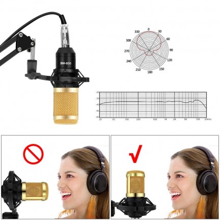 Professional BM 800 Studio Condenser Microphone Kit