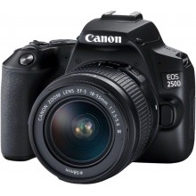 CANON EOS 250D DSLR Camera with EF-S 18-55 mm f/3.5-5.6 III Lens