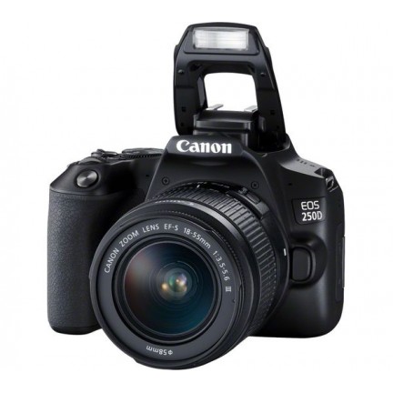  CANON EOS 250D DSLR Camera with EF-S 18-55 mm f/3.5-5.6 III Lens