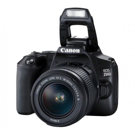 CANON EOS 250D DSLR Camera with EF-S 18-55 mm f/3.5-5.6 III Lens