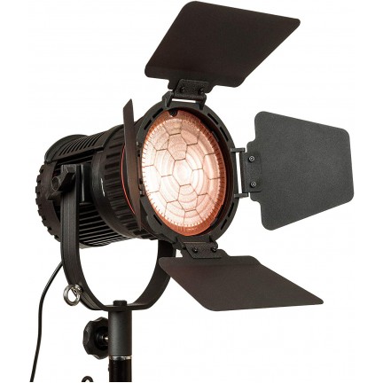 NanGuang CN-30F LED Fresnel Light