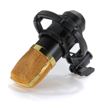 BM700 Microphone Kit