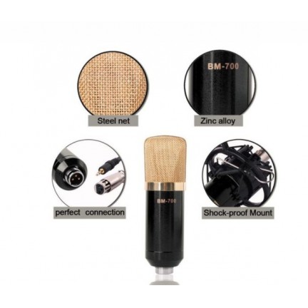 BM700 Microphone Kit