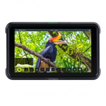 Atomos ATOMSHBH01 Shinobi 5.2" 4K HDMI Monitor 